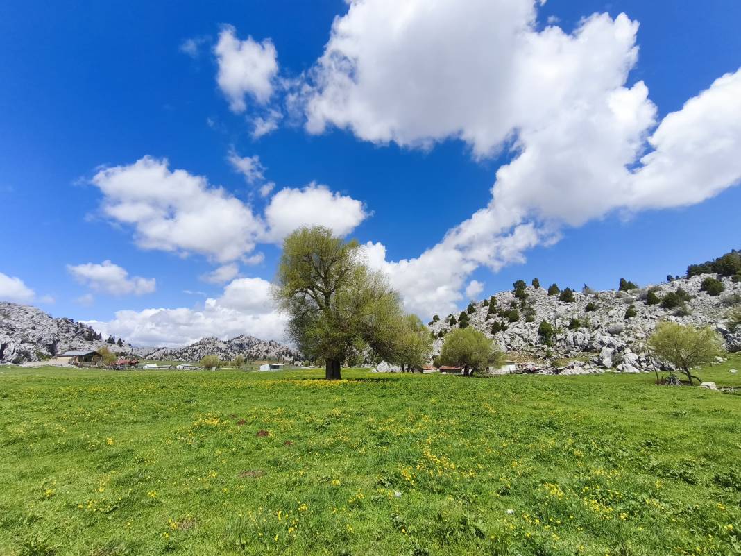 Konya’nın ünlü yaylasında baharın renkli yüzü çıktı 10